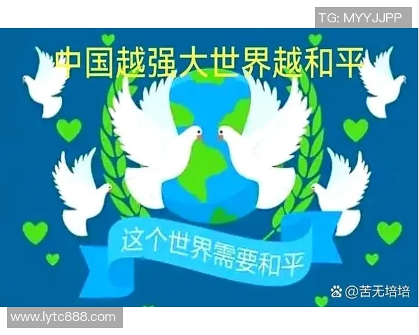 以外交合作为核心推动国际关系新发展 助力全球共赢新时代