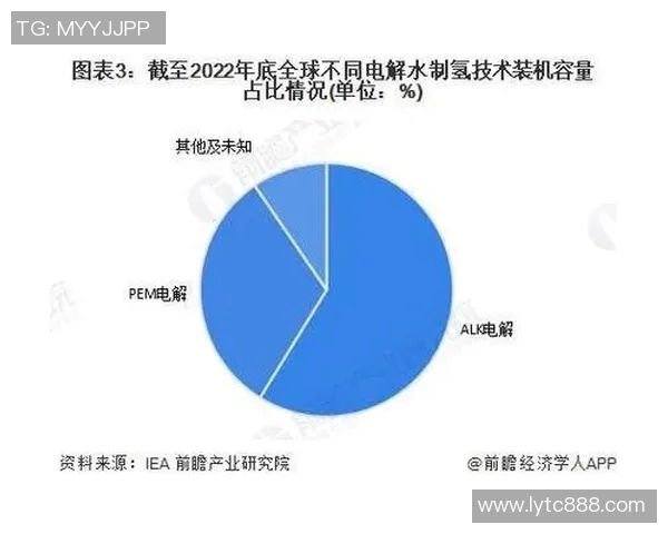 LNG市场灵活性分析及其对全球能源格局的影响探讨