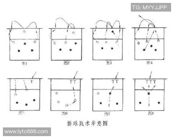 北京排球队灵活性对比分析揭示战术优势与发展潜力