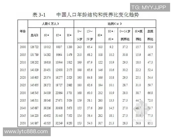 深入探讨北京篮球队实力表现的数据分析与趋势解读 深入探讨北京篮球队实力表现的数据分析与趋势解读