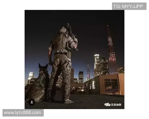 滑板战术解析：杭州滑板队如何构建高效进攻体系与战术配合